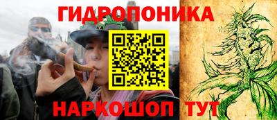 кокс Гагарин