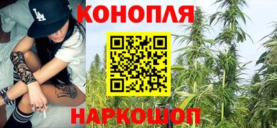 хмурый Гатчина