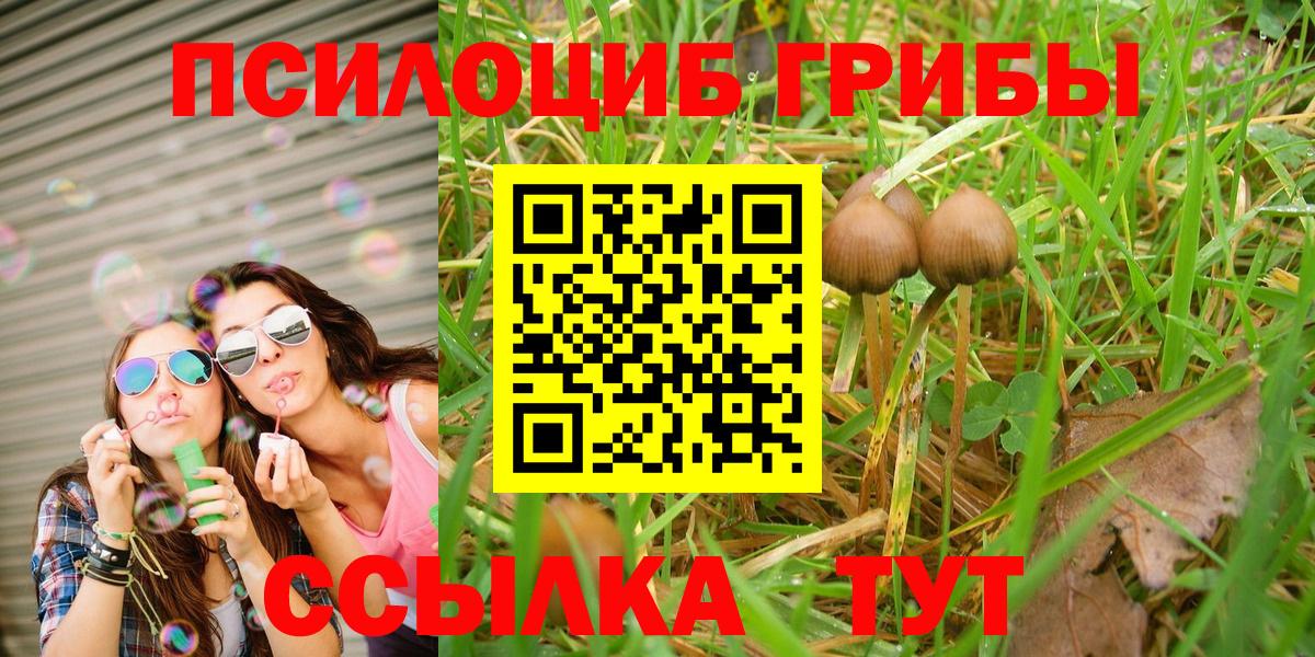Псилоцибиновые грибы GOLDEN TEACHER Нефтекамск